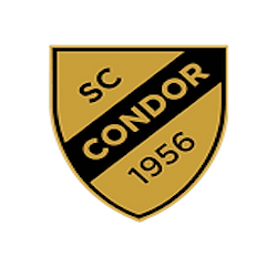 Logo de Condor Padel